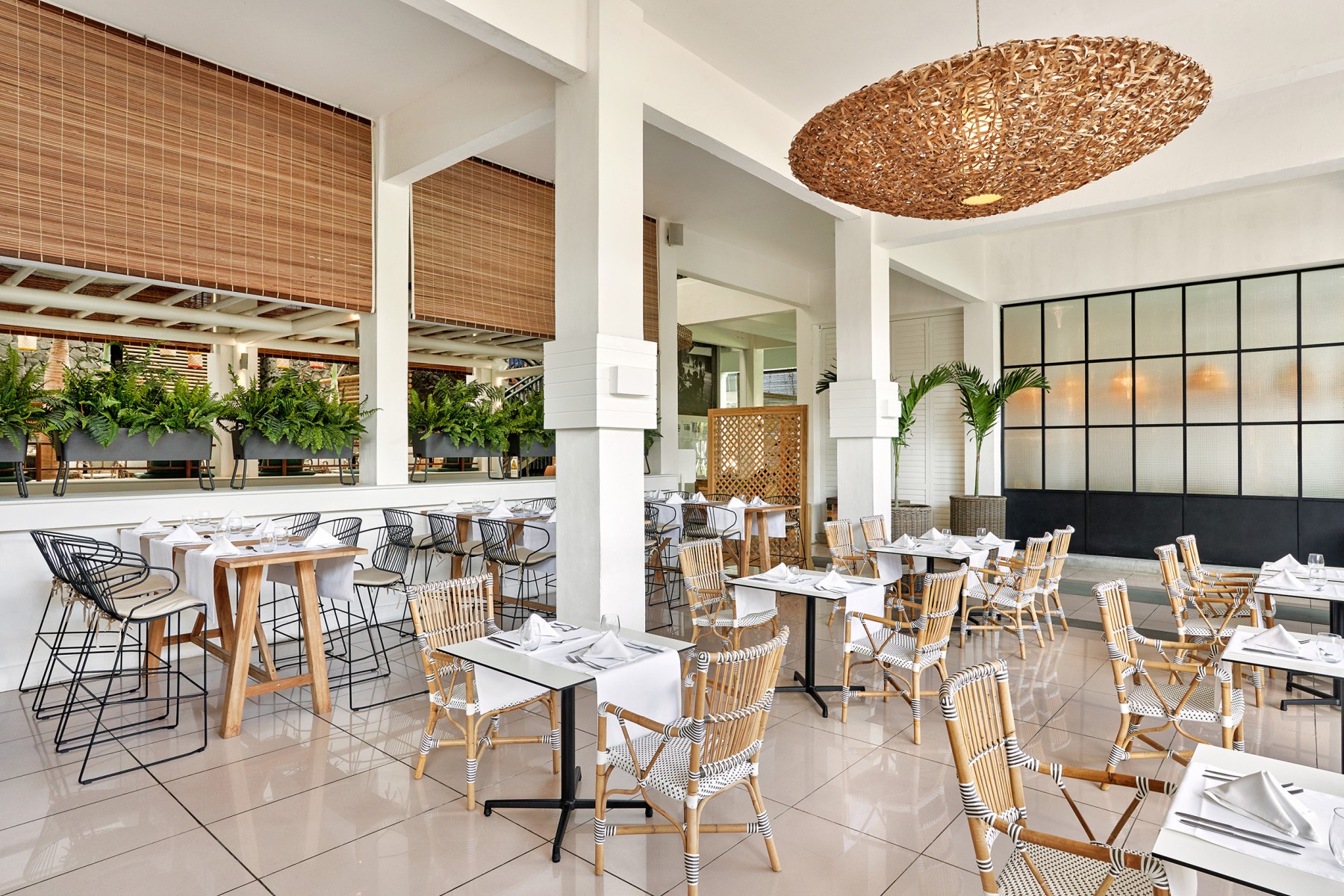 The Ravenala Attitude